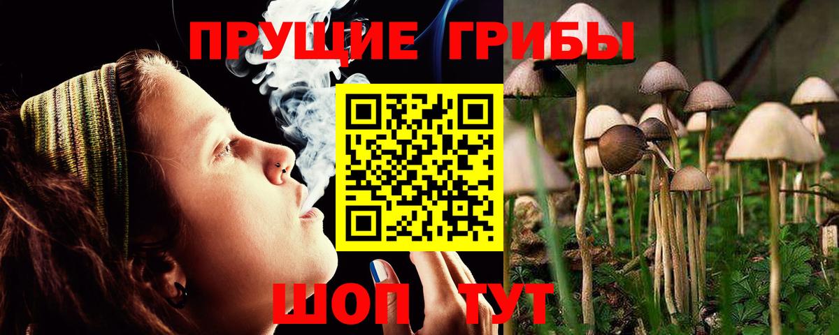 Коммунар  Галлюциногенные грибы ЛСД  Вход с VPN 